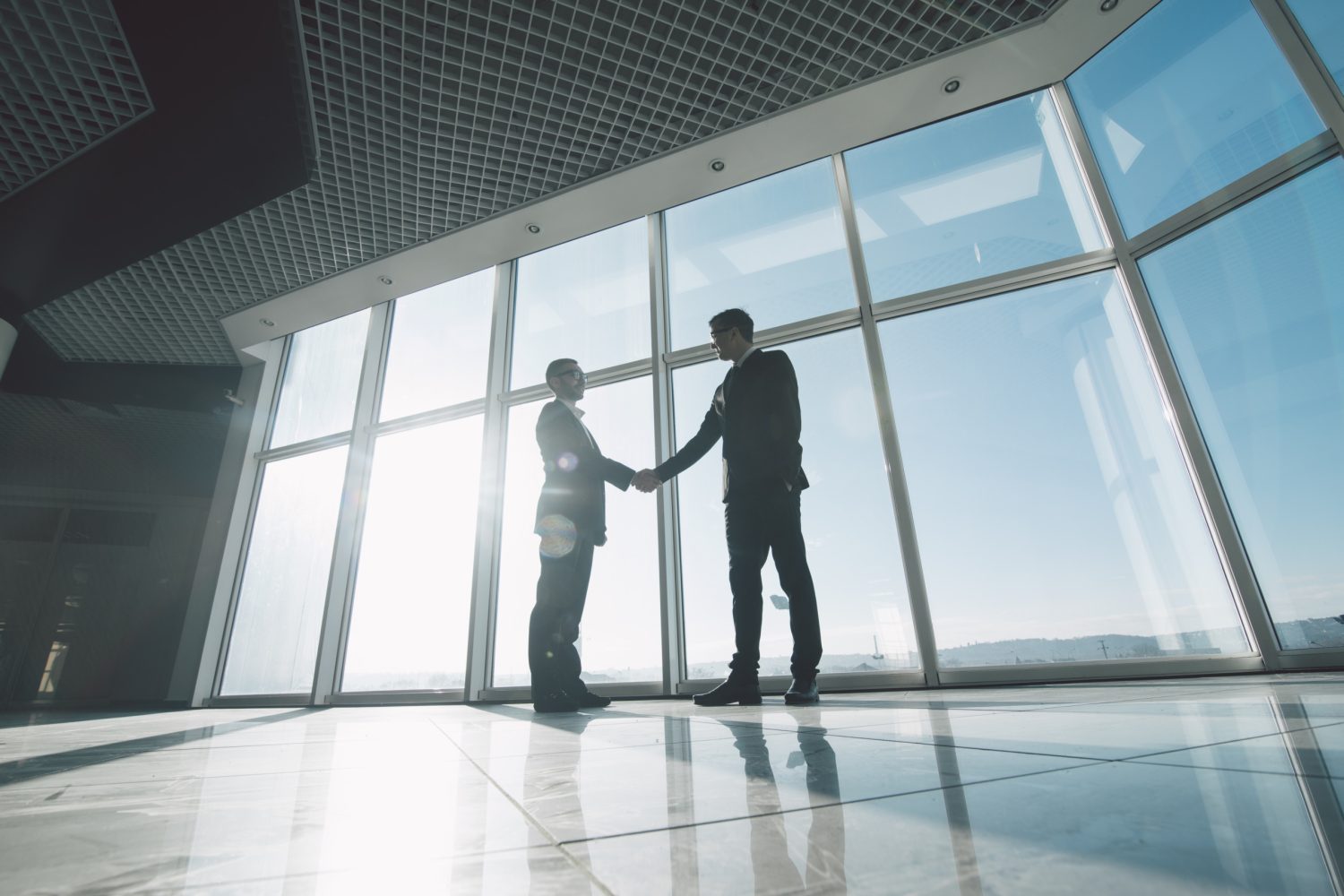 Two Blechinger businessmen shaking hands in front of a large window.