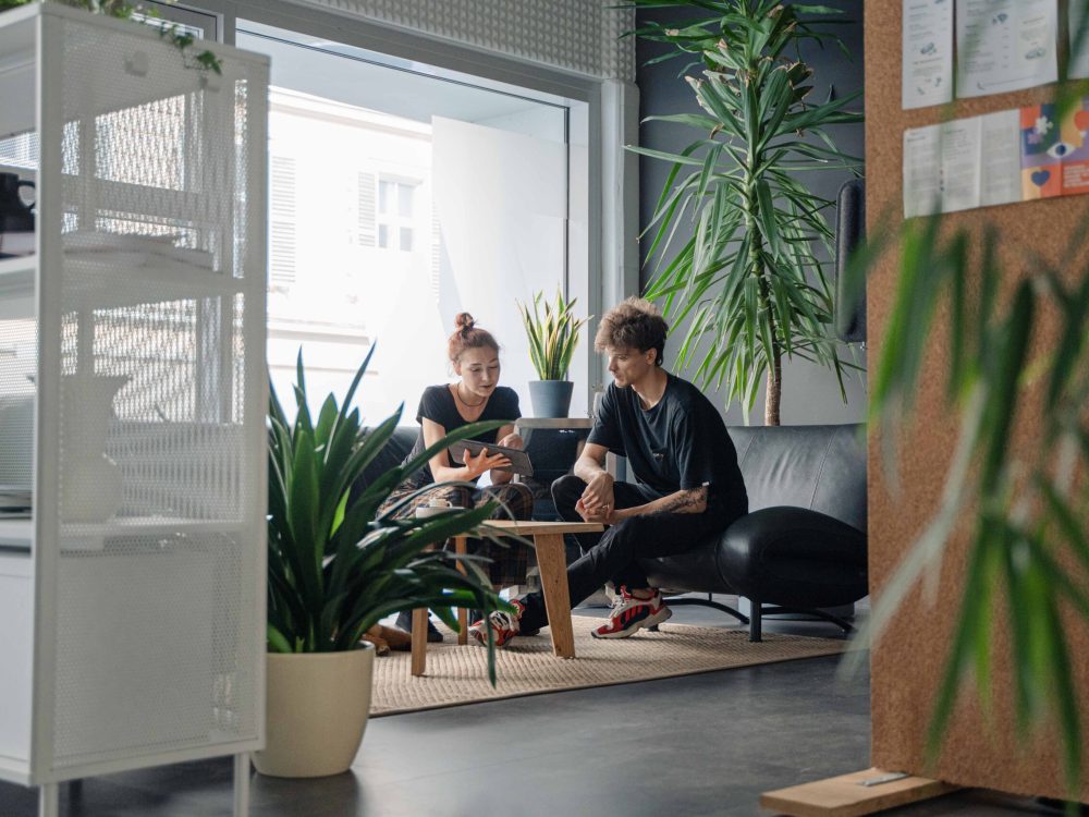 Two people sitting in an office with plants.