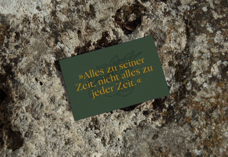 Eine grüne Karte, die auf einem Felsen sitzt.
