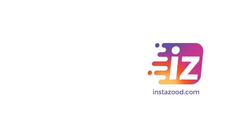 Ein Logo mit dem Wort „iz“ mit alternativen Optionen und allen Funktionen.