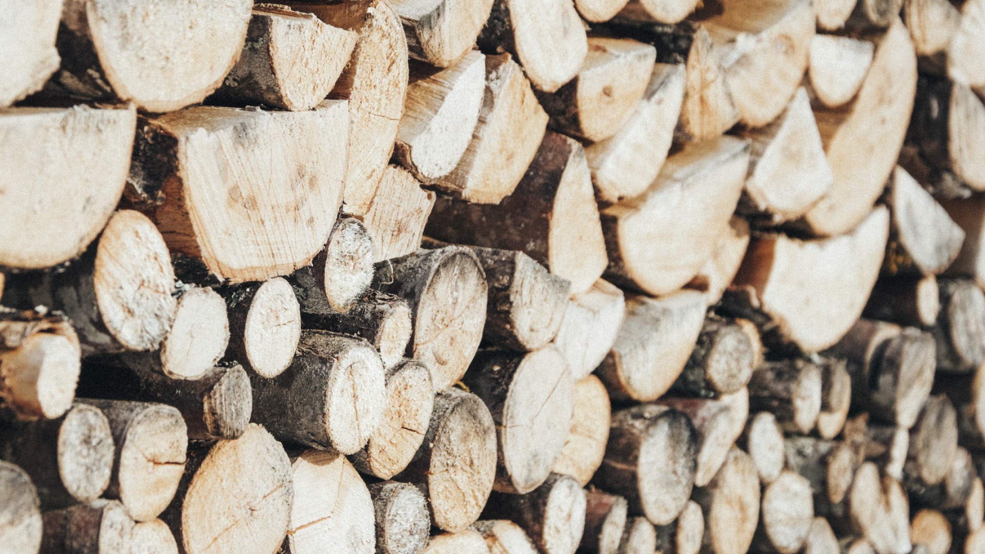 Am Eggenhof stapelt sich ein Stapel Holz an einer Wand.