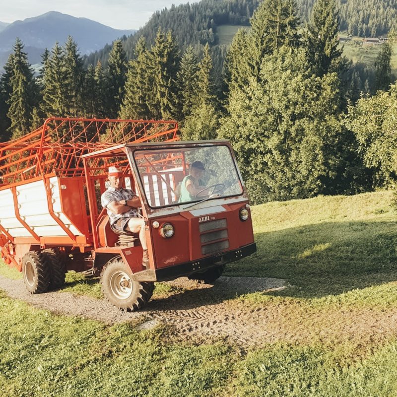 A man driving a red truck in the mountains near Eggenhof.