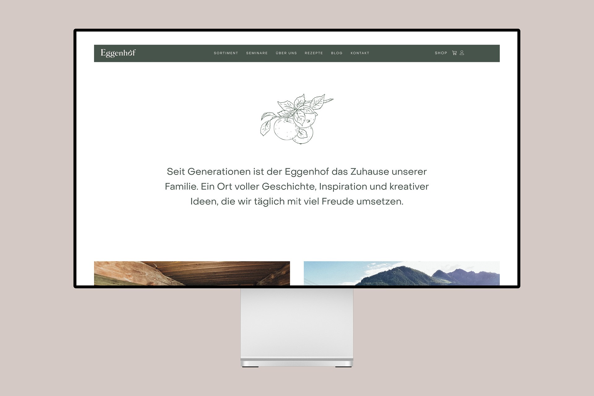 Ein Computerbildschirm, auf dem das Design der Eggenhof-Website angezeigt wird.
