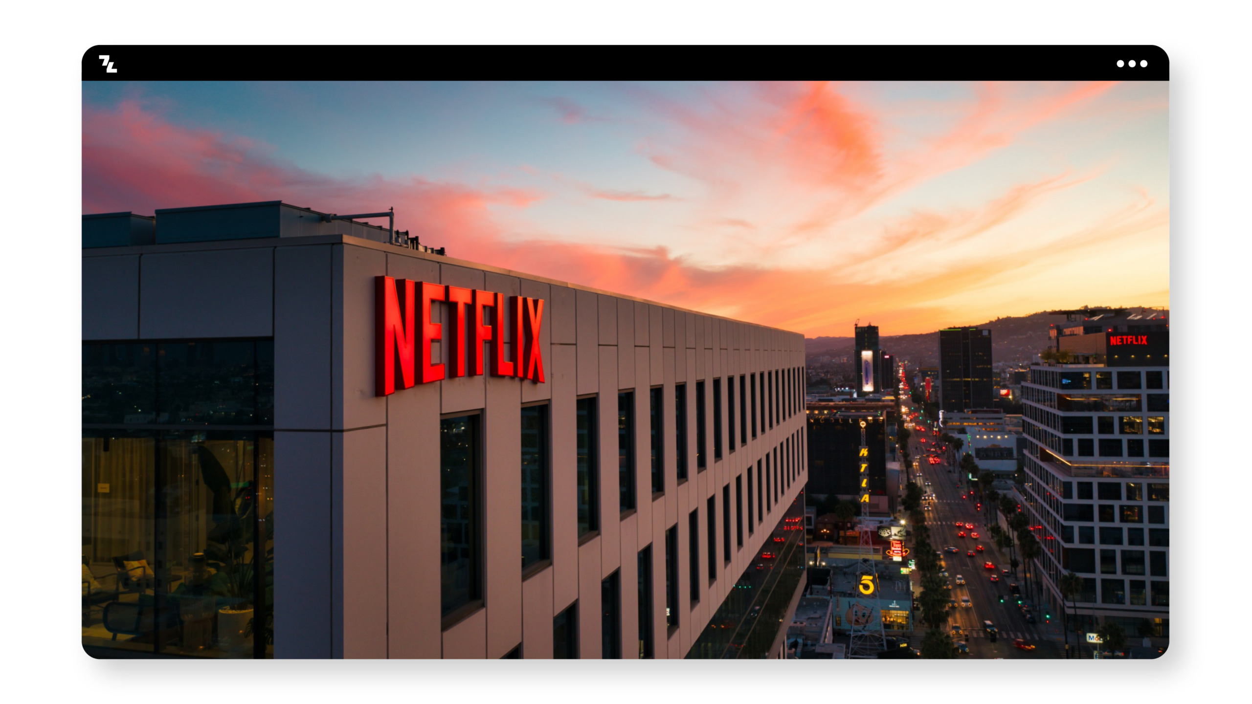 A screenshot of the Netflix logo on a website for brand protection purposes.