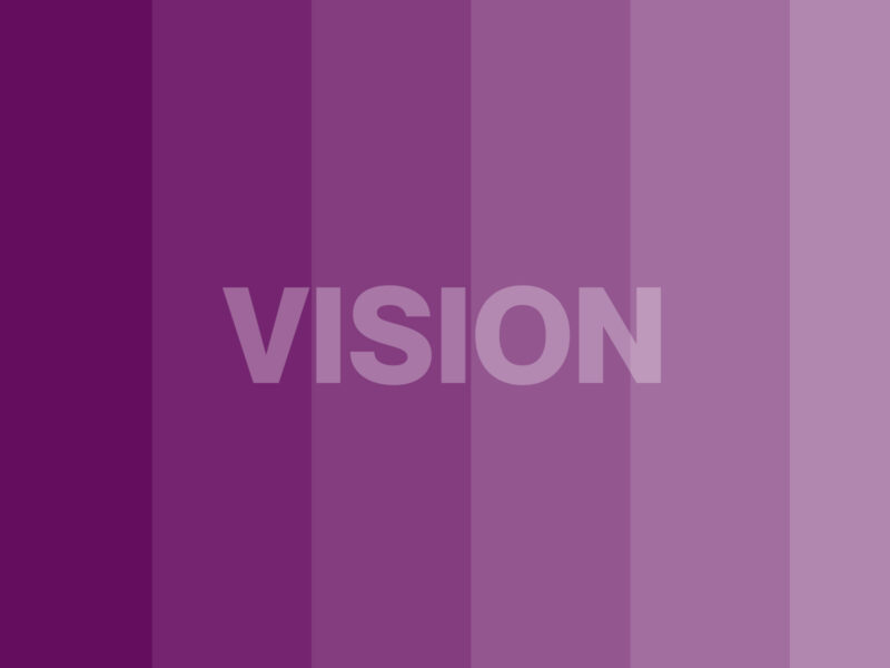 vision