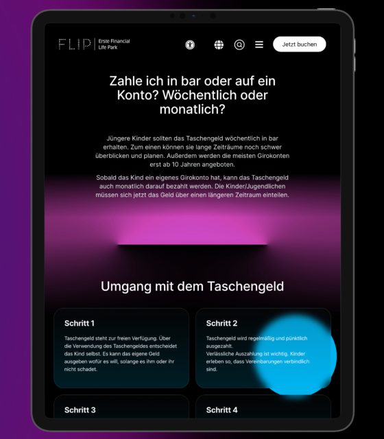 flip referenz vorlage ergebnis 022