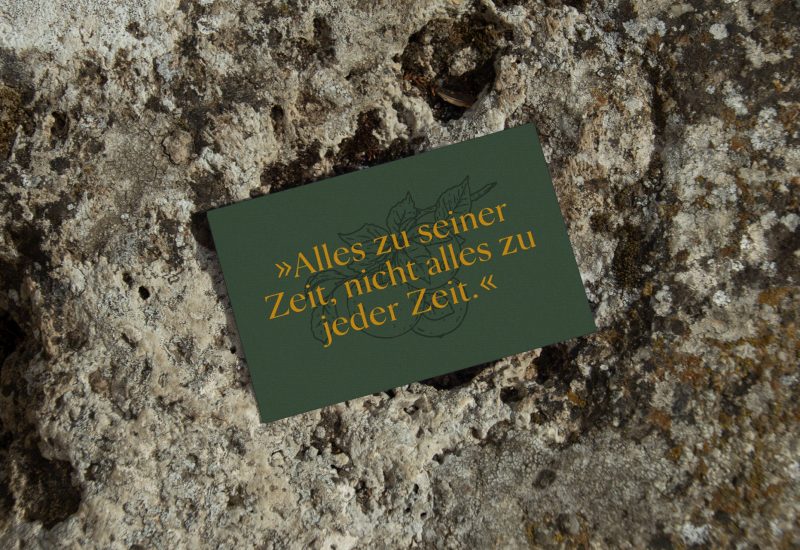 A green card with a message on it sitting on a rock at Eggenhof.